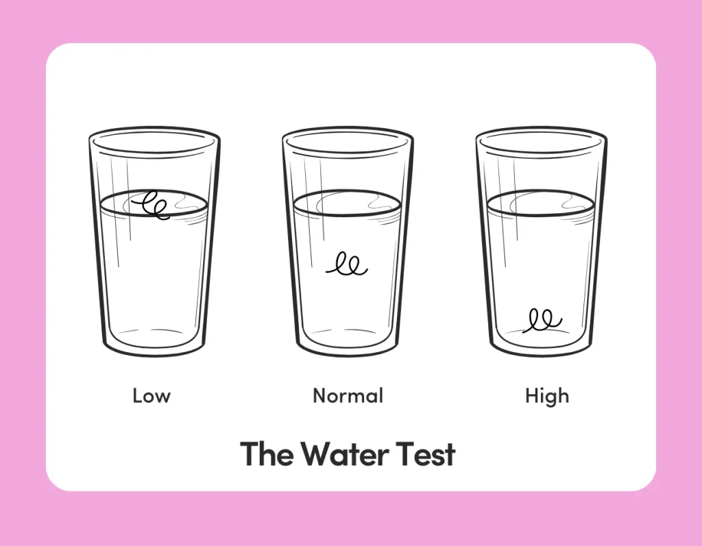 Hair porosity test