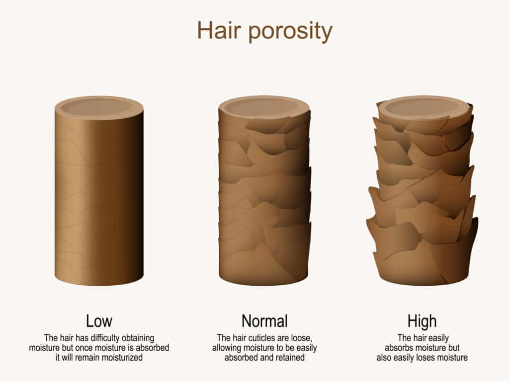 Hair porosity